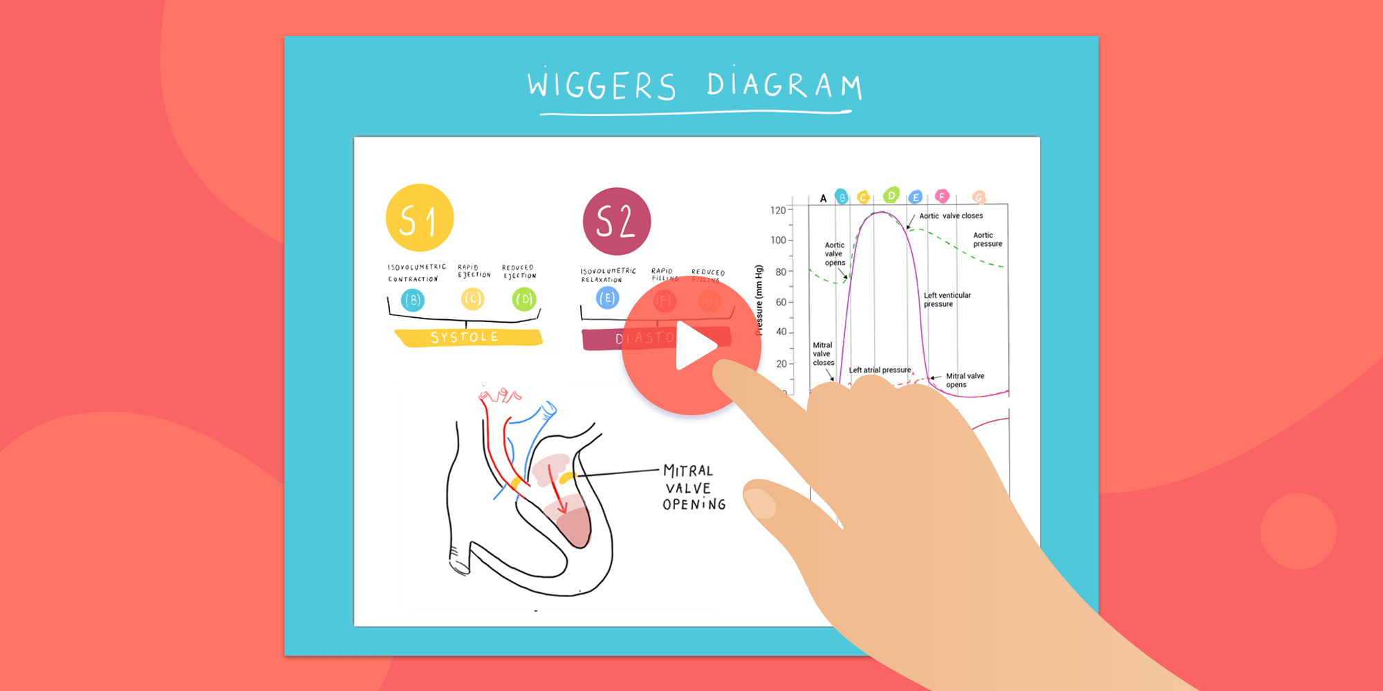 tutoring with a digital whiteboard